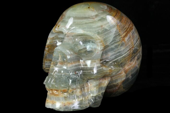 Carved, Blue Calcite Skull - Argentina #78634